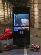 Charger l'image dans la galerie, Catch-Machine